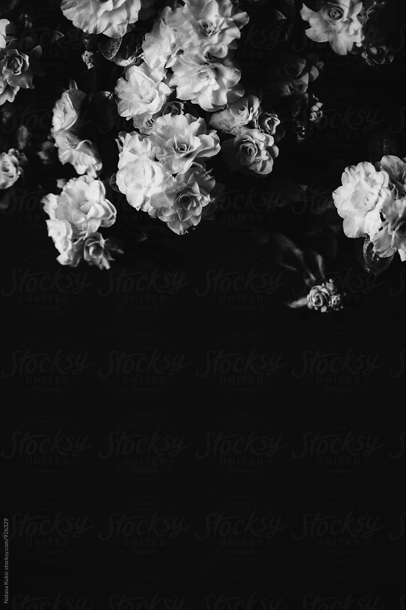 Vintage flowery backgrounds,black and white