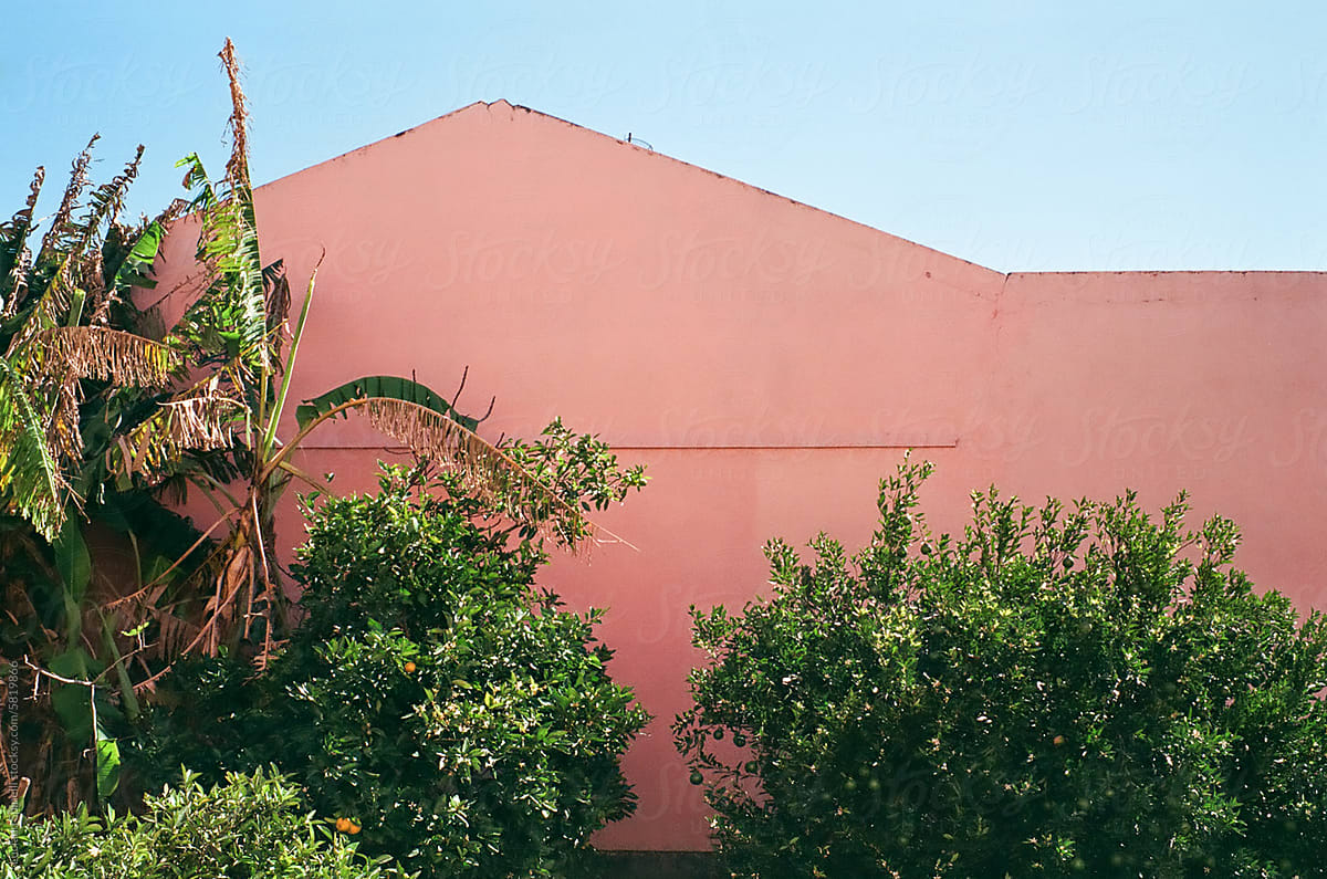 Minimalist pink house wall, green trees, banana leaves and blue sky