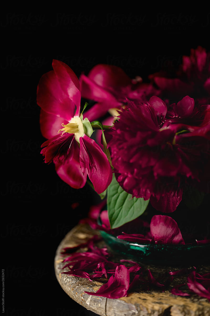 Side view of dark red peonies vase with many fallen petals