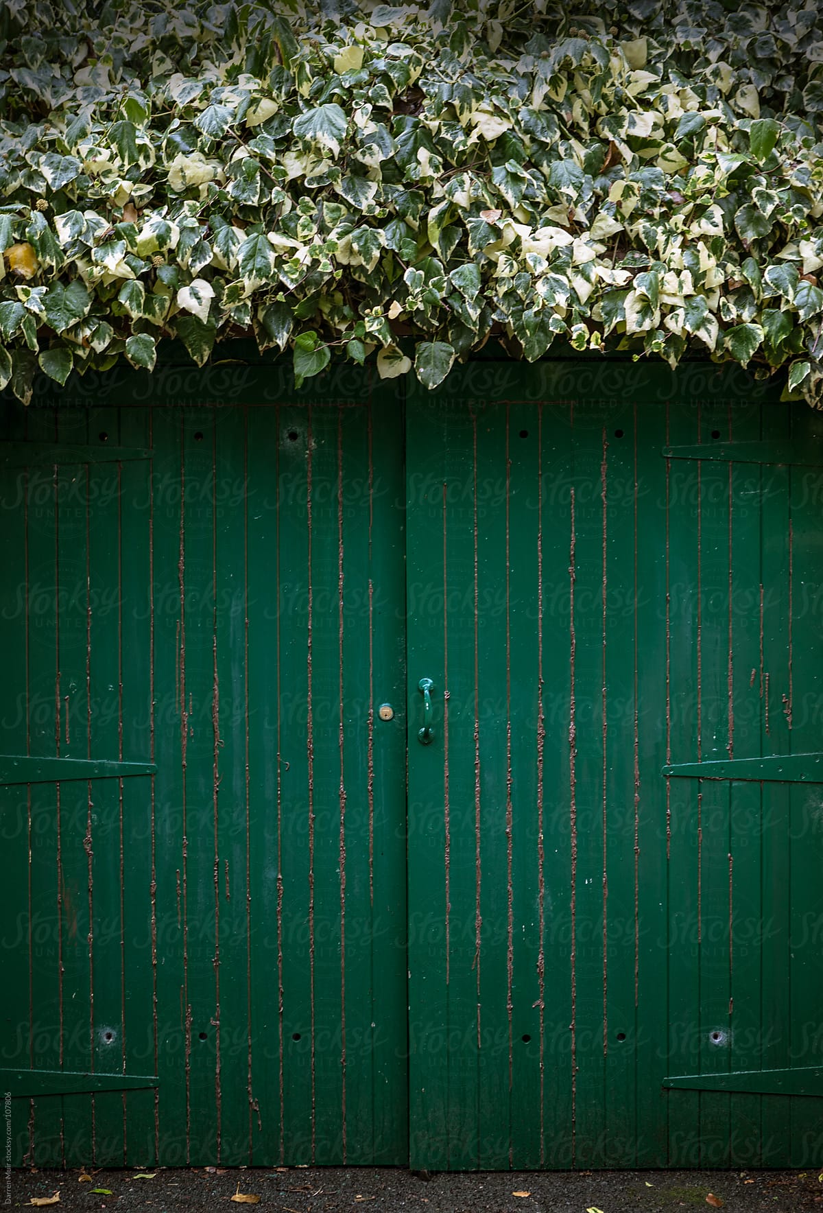 Leafy green door.