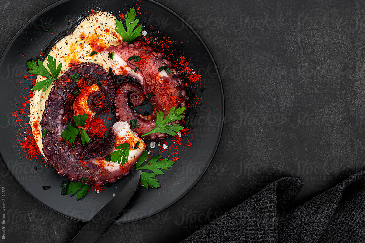 Grilled Octopus with hummus and spices on a dark background
