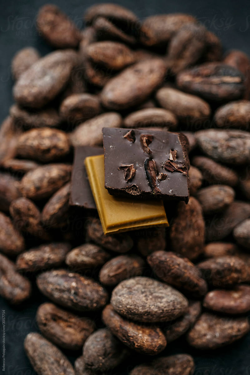 artisanal chocolate and cacao