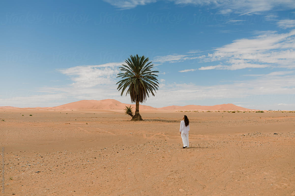 A green palm and a person in white clothes in the desert