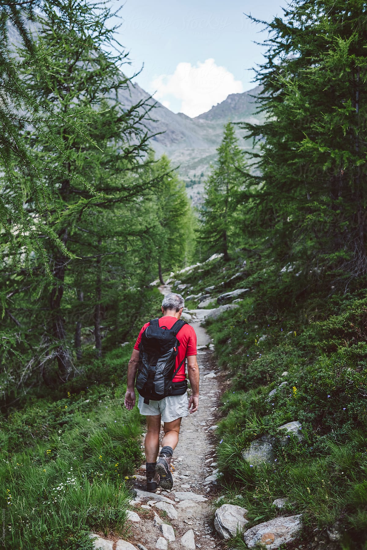 Hiker walking in mountain