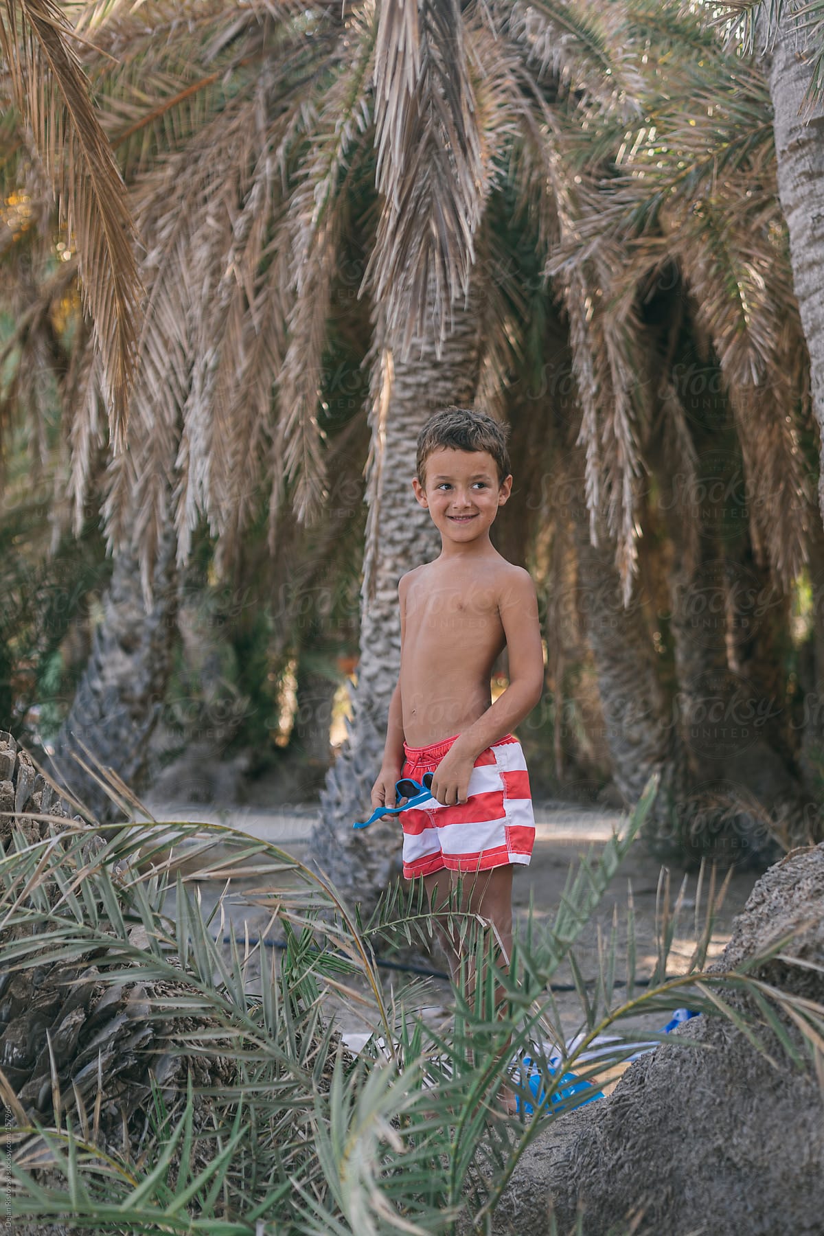 Boy standing on a palm tree