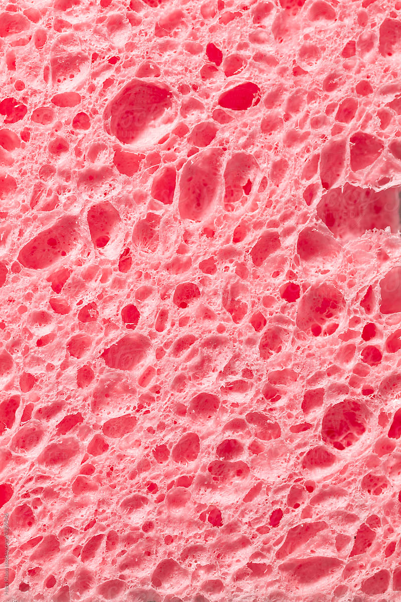 Pink sponge detail