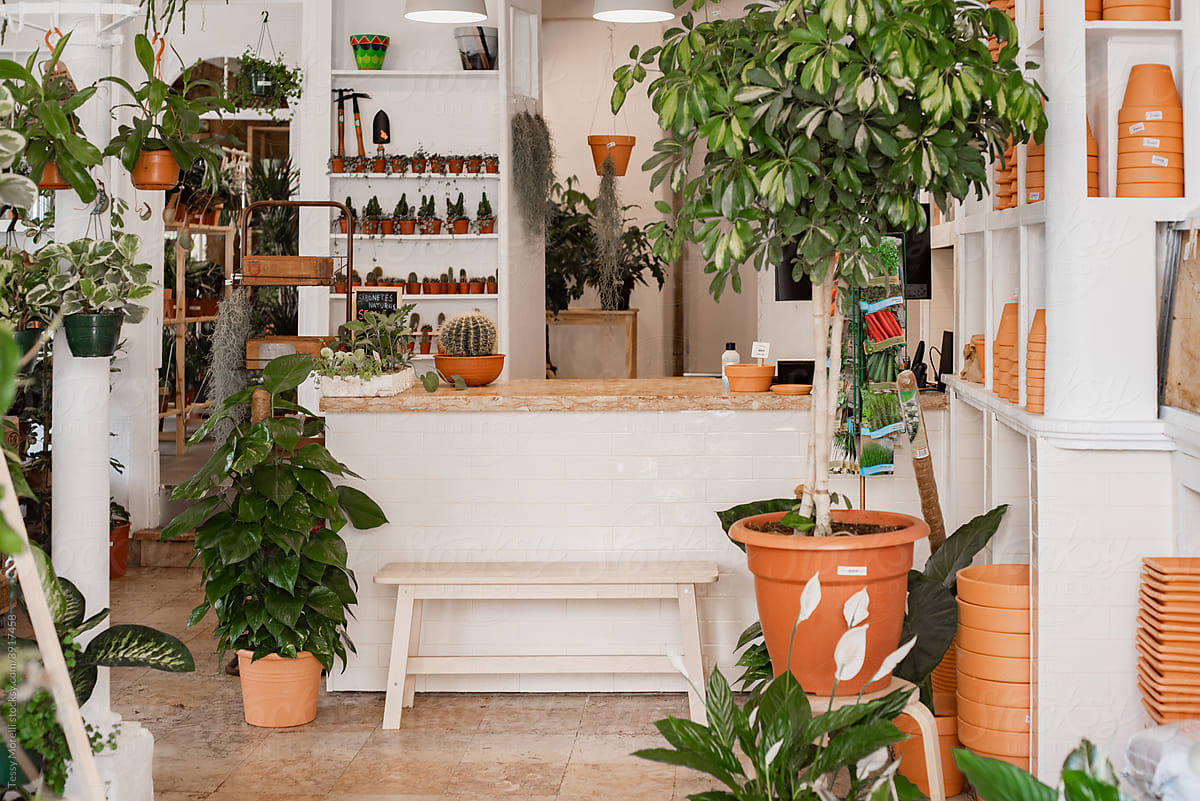Interior view of a real plant shop