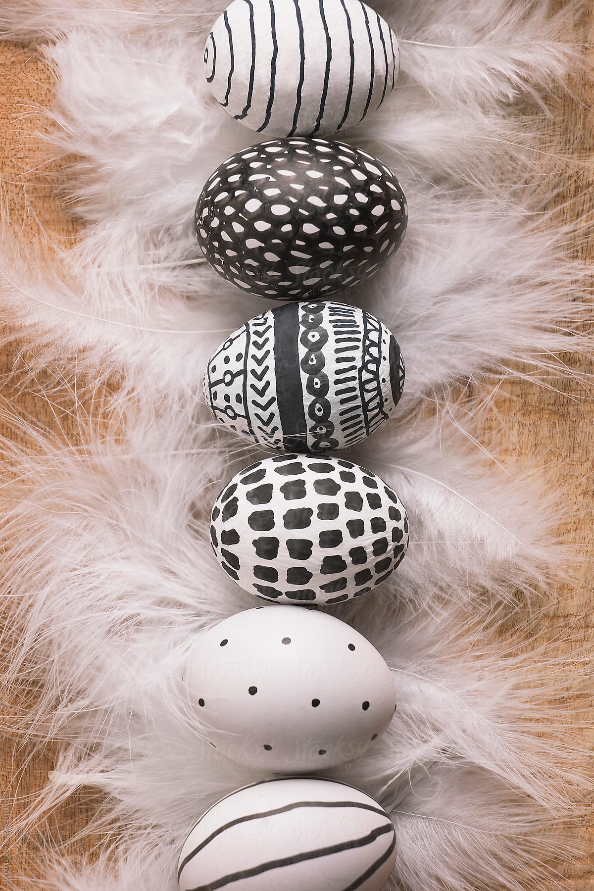 Easter eggs with different drawings and white feathers in row.
