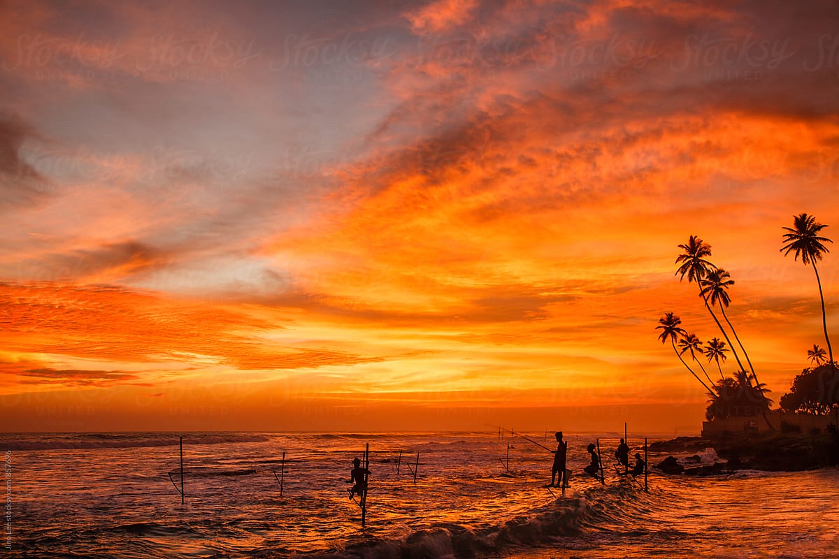 Sunset stilt fishing in Sri Lanka