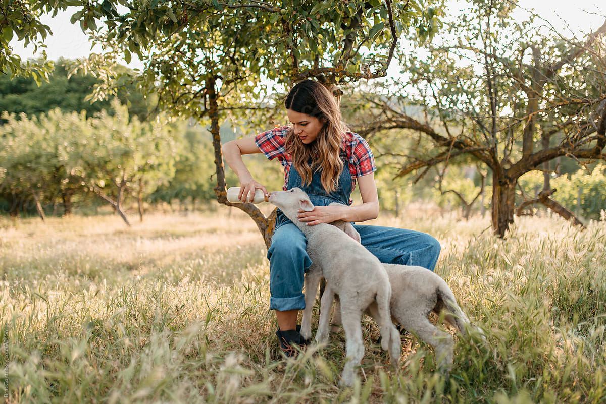 Farm girl feeding animals