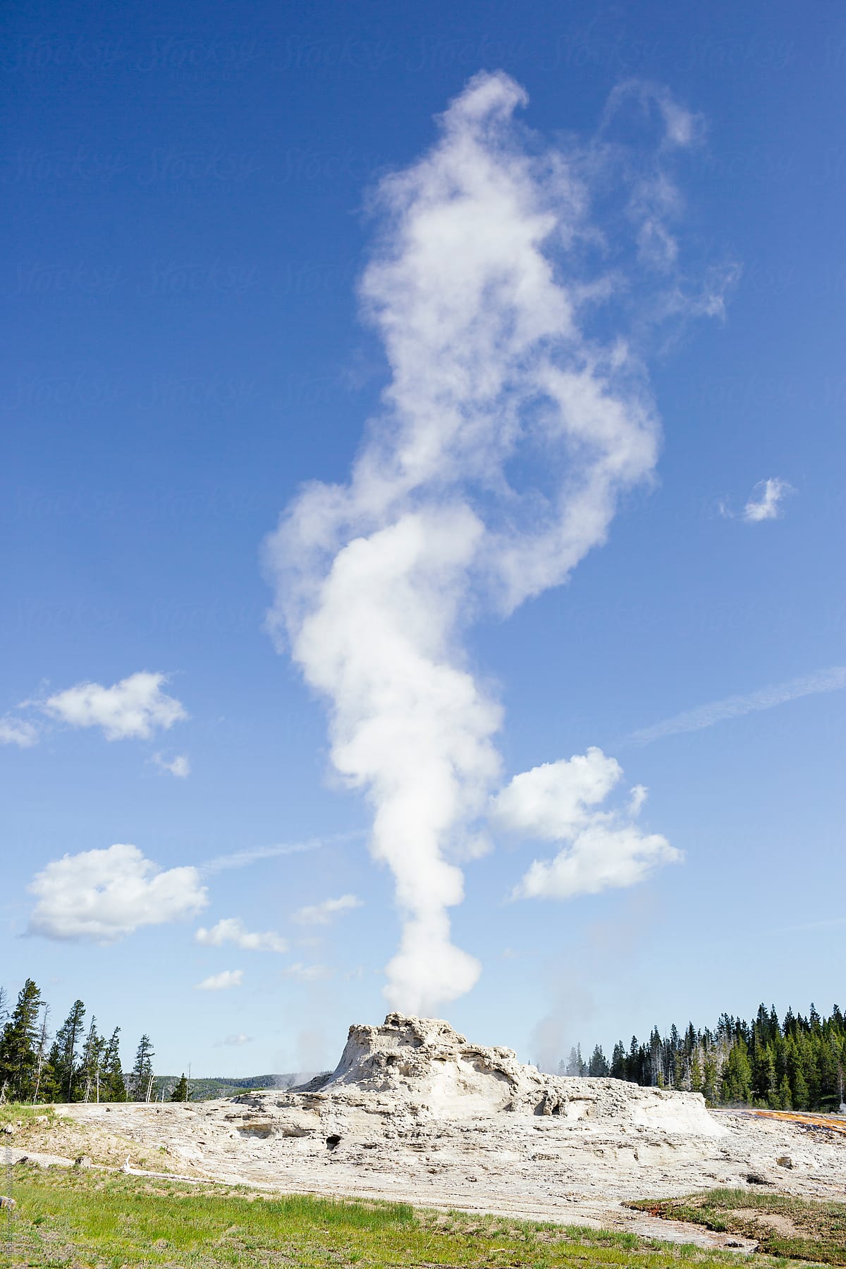 Castle Geyser in the Yellowstone National Park