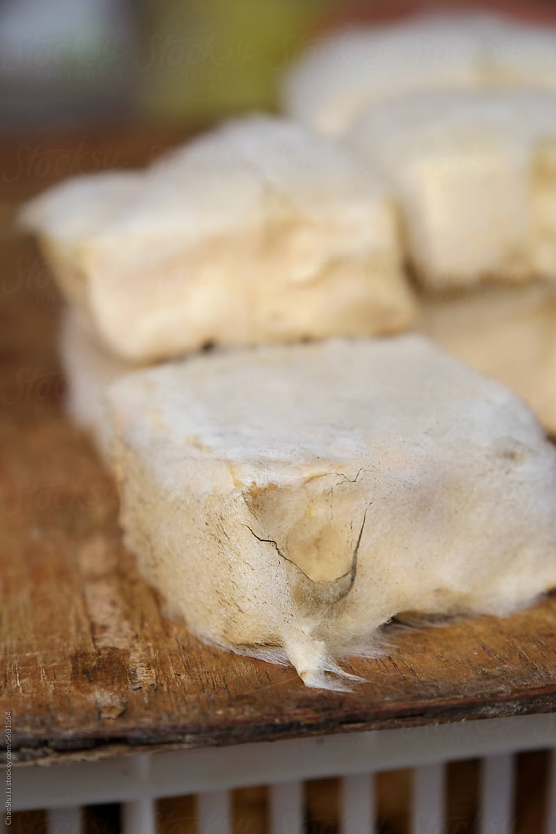 Closeup of naturally fermented moldy tofu at a farmers market