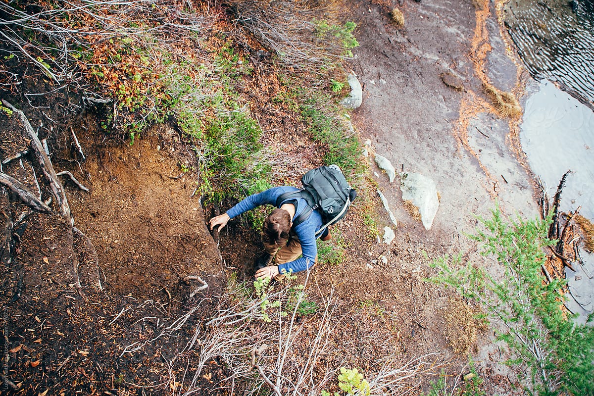 Young Man Climbing Down Dirt Slope Covered In Roots