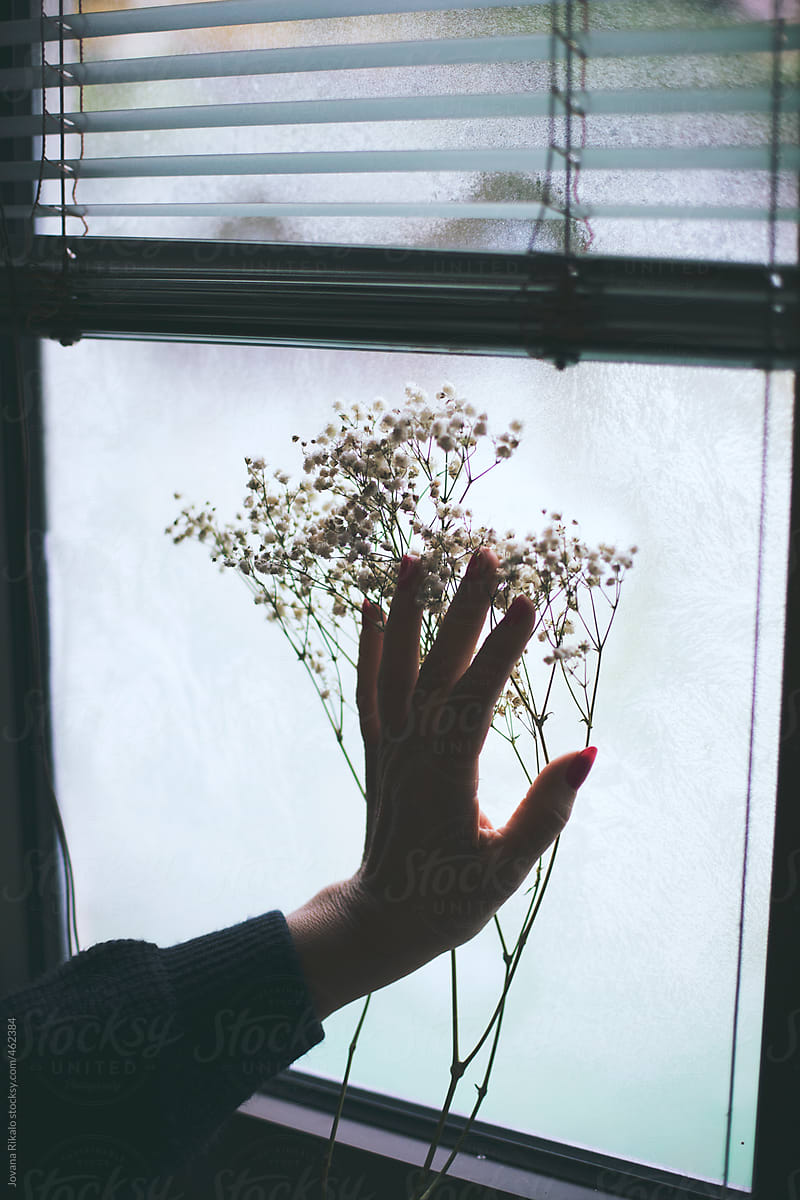 Female hand on frozen window