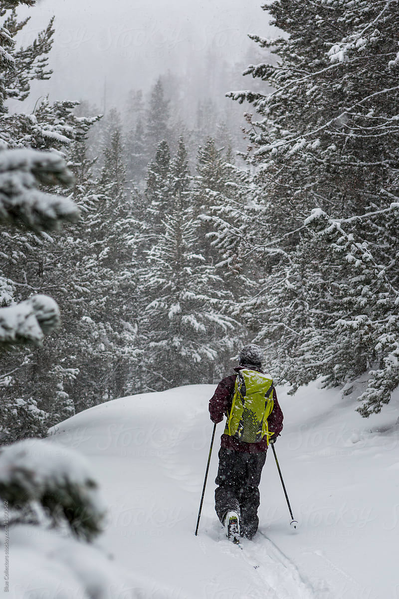 Man hiking through snow on forest trail in winter during a snowfall