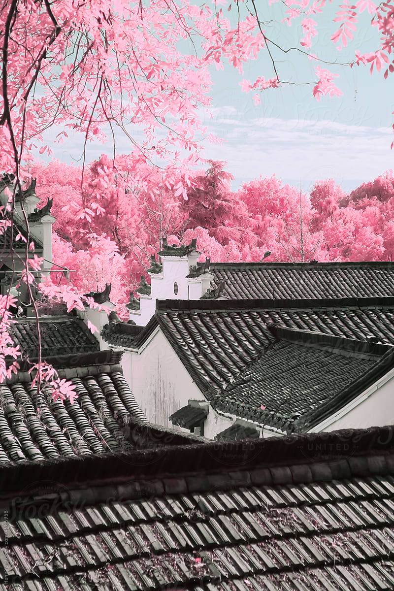 Infrared photography of  traditional Chinese buildings and plants