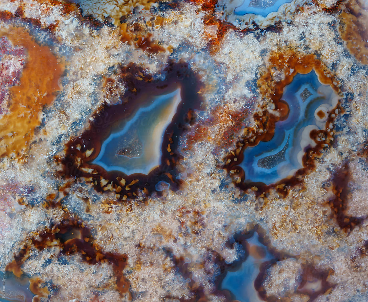 agatized fossil coral symbiosis of agate and crystal