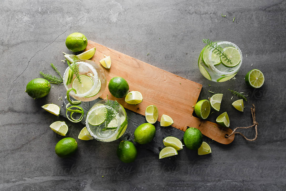 Perfect Summer Fresh Drink Gin Tonic With Lime.