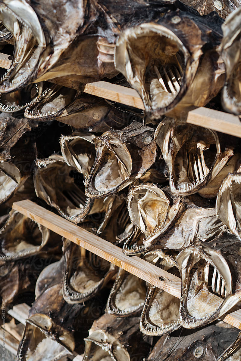 Shelves with dried fish