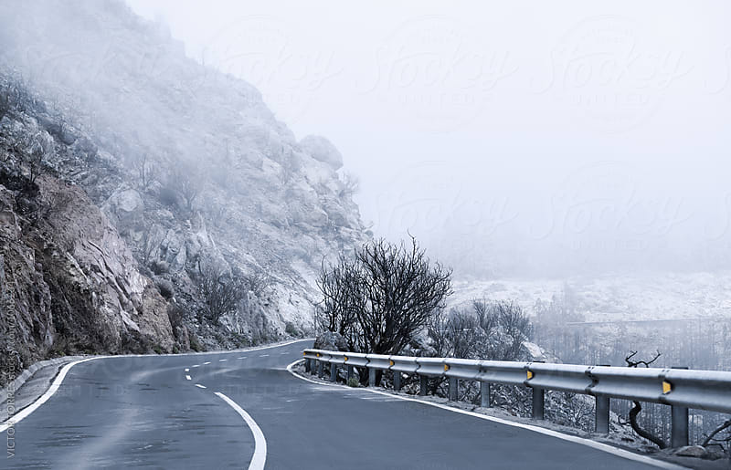 Winter Foggy Winding Road