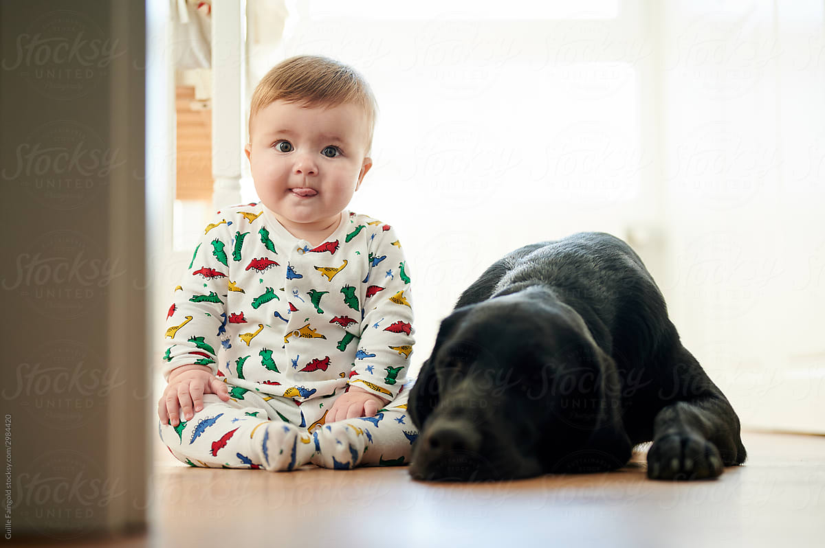 Cute baby in pajamas and black dog on floor
