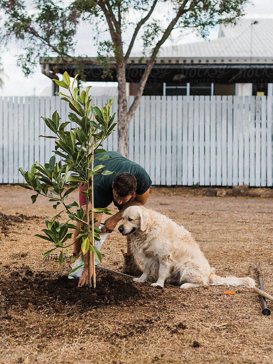 Planting a tree with mans best friend