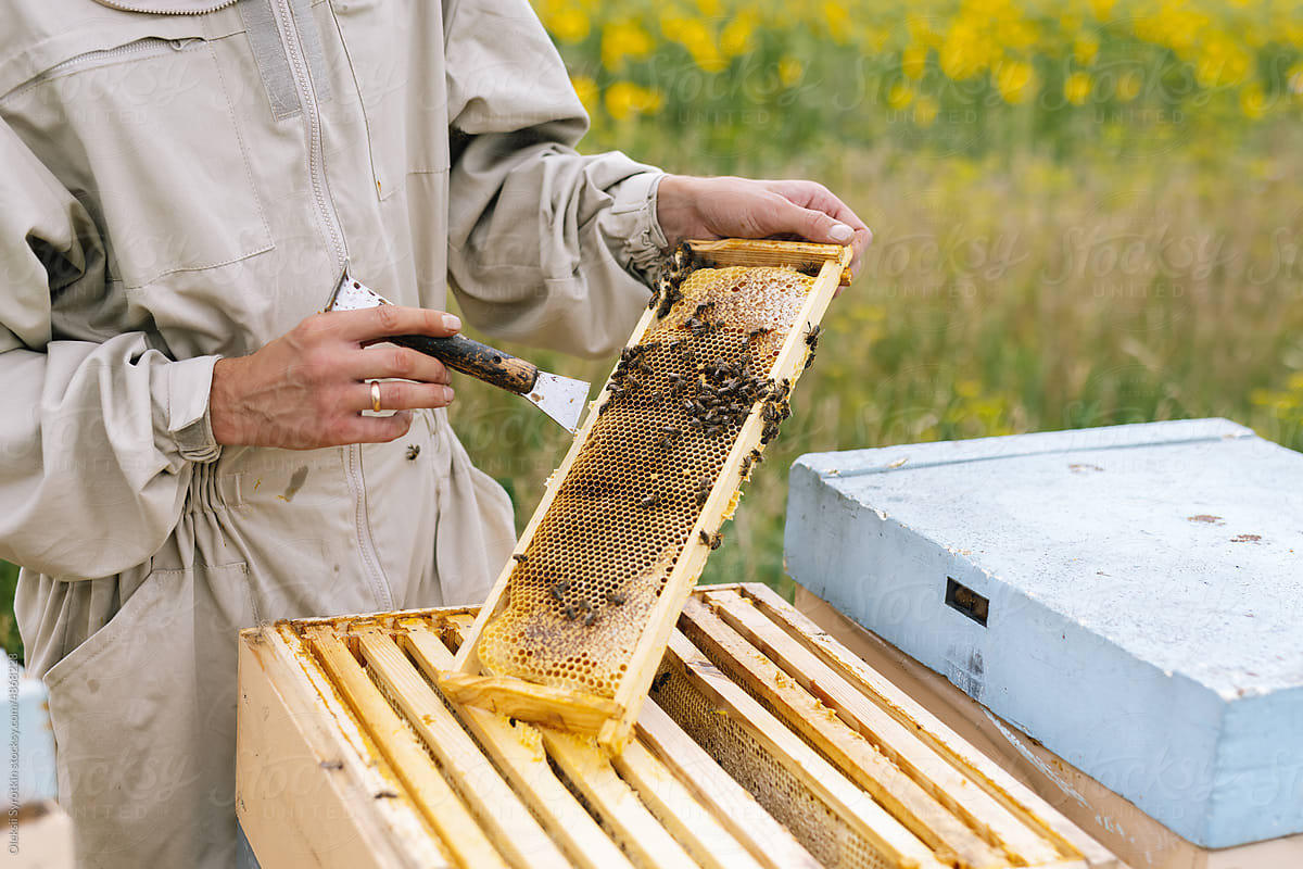 Farmer honeycomb equipment
