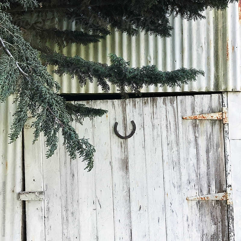 Crooked old barn door with lucky horse shoe