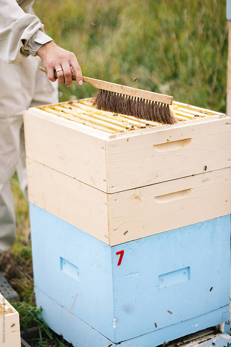 Anonymous apiarist brush hive