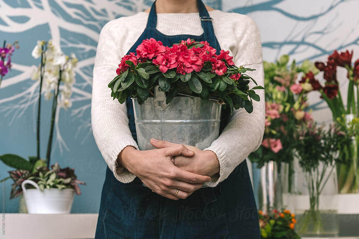Florist Working in a Small Flower Shop