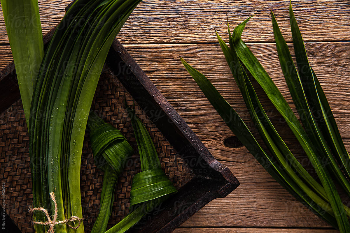 Bunches and Knots of Fresh Pandan Leaves