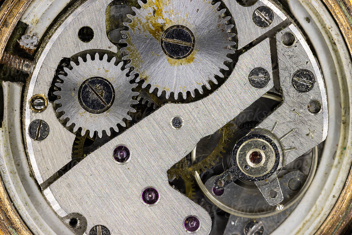 Internal Mechanism of a Vintage Watch