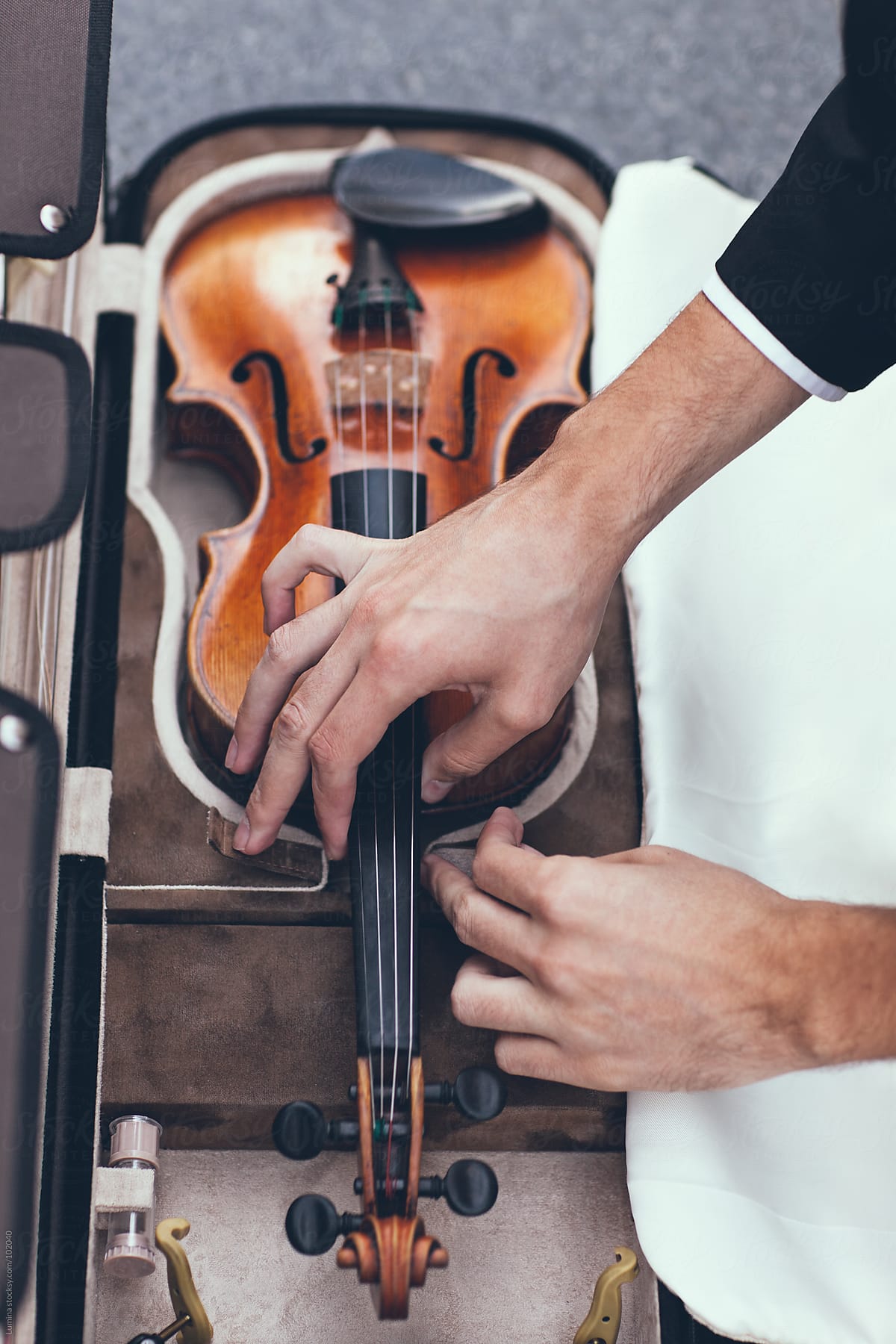 Violin in its Case