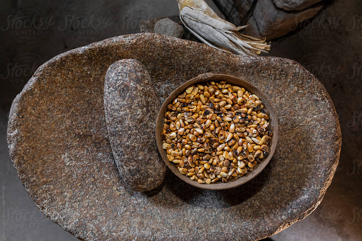 A jícara with grains / kernels of corn inside on a stone metate