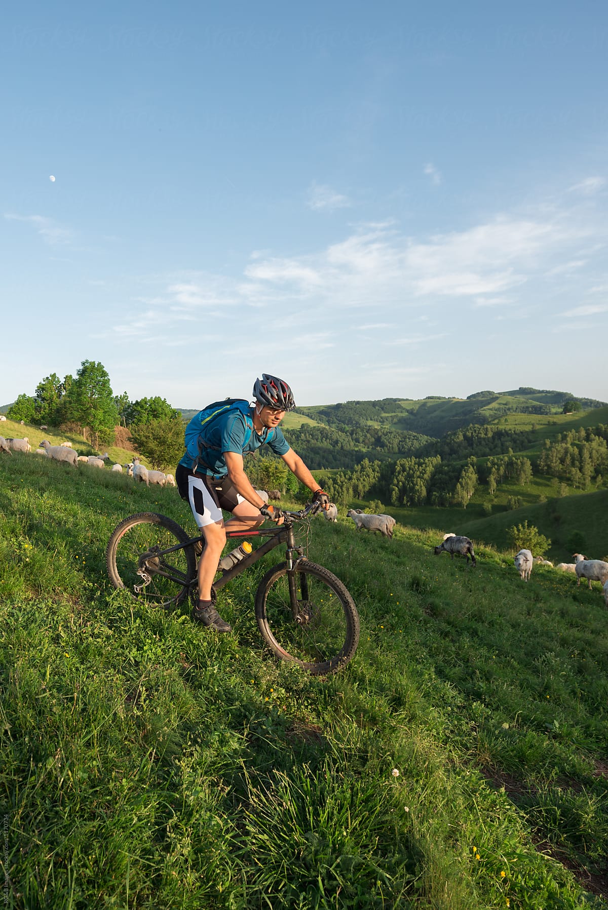 Sportive man riding his bike downhill on a mountain meadow