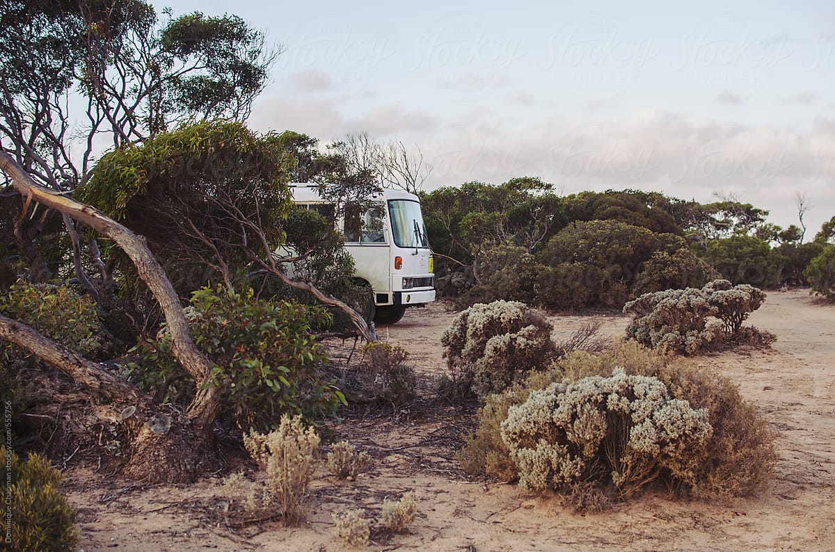Bus parked in bush camping spot a dusk