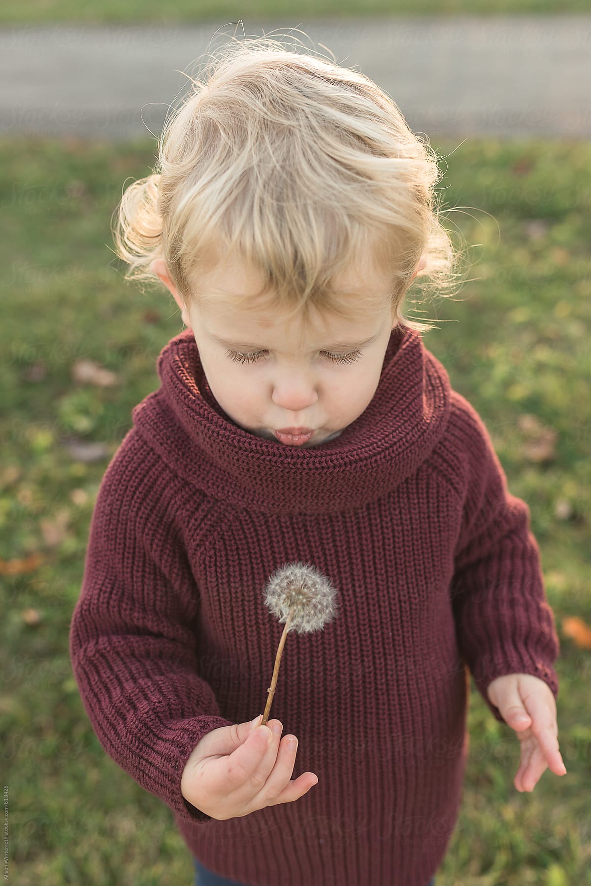 Toddler Holding A Dandelion