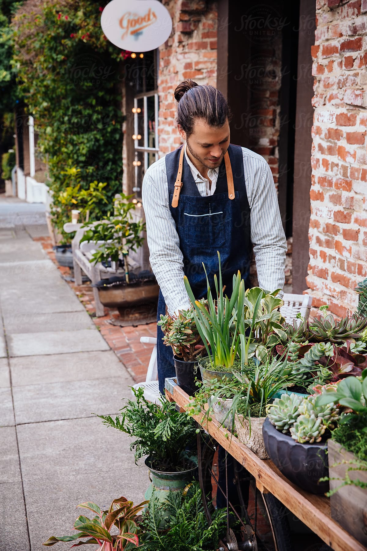 Small business owner arranging plants in front of store