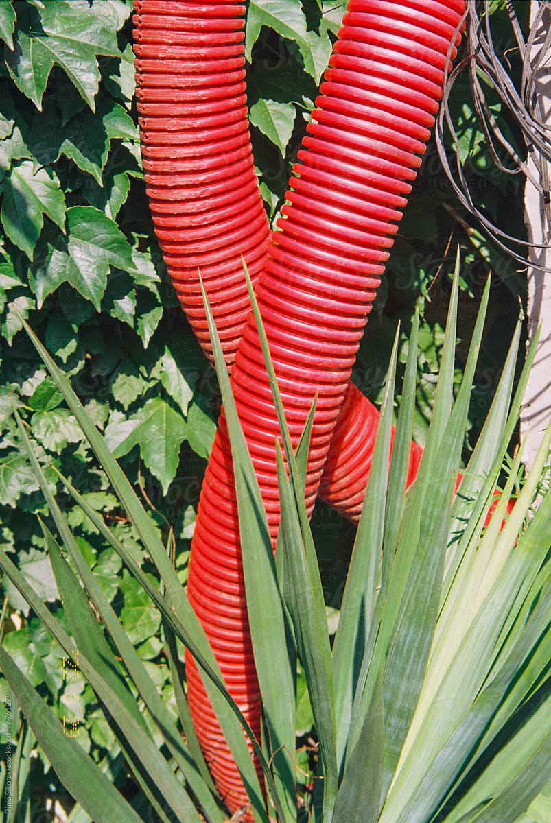 conceptual film frame with red plastic pipes and green plants