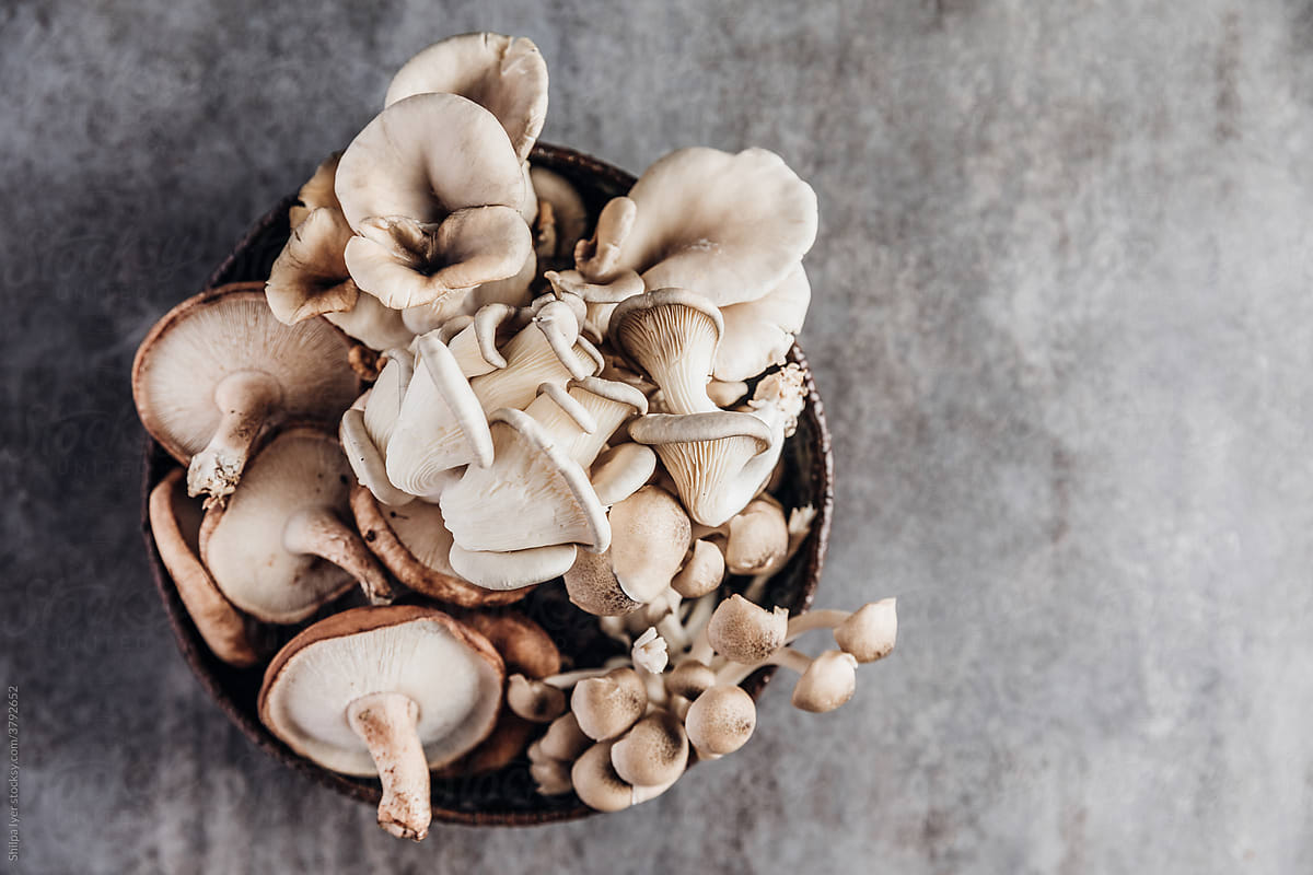 A bowl of assorted organic mushrooms