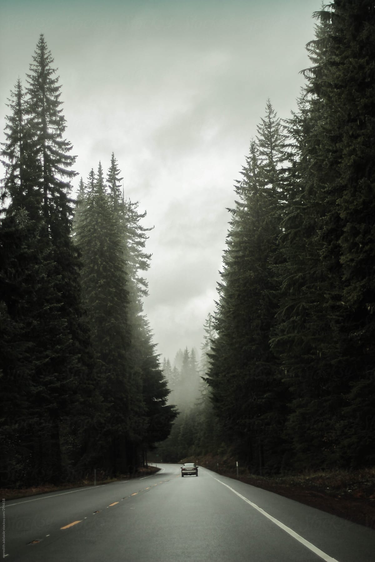 Following on a Foggy Open Oregon Road