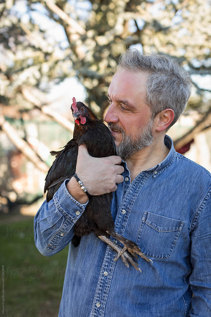Man and chicken as friends