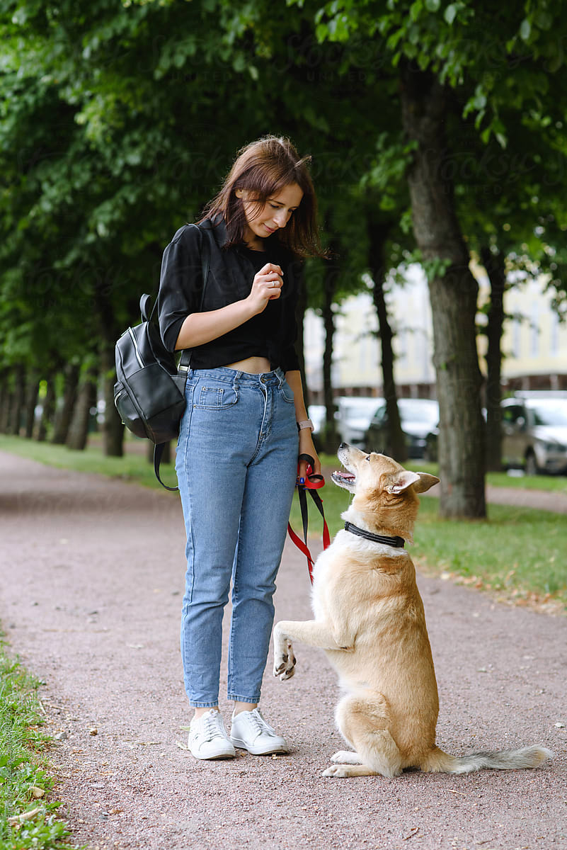 Woman trains her dog in the park