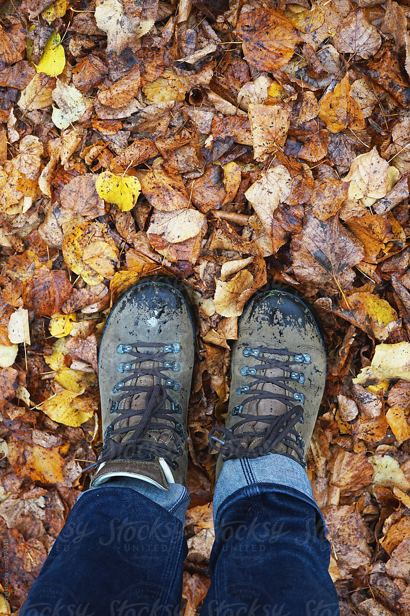 Looking down on hiking shoes in a forest in fall