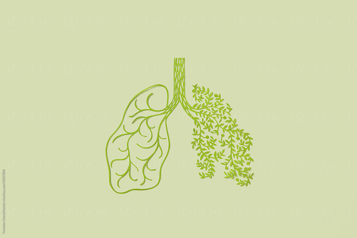 Papercraft green plants forming shape of human lungs