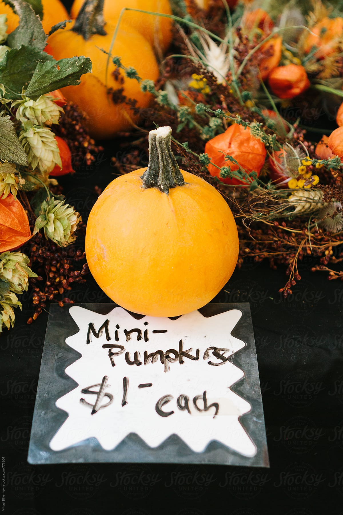 Mini pumpking with fall and Thanksgiving holiday decorations and a price tag on a black table
