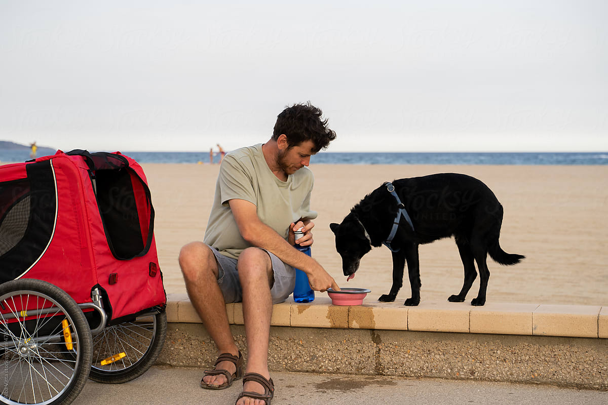 Man giving water do thirsty dog at beach