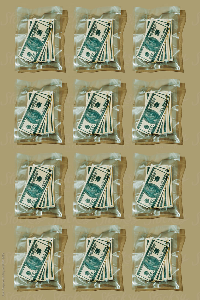 vacuum packed fake dollar bills