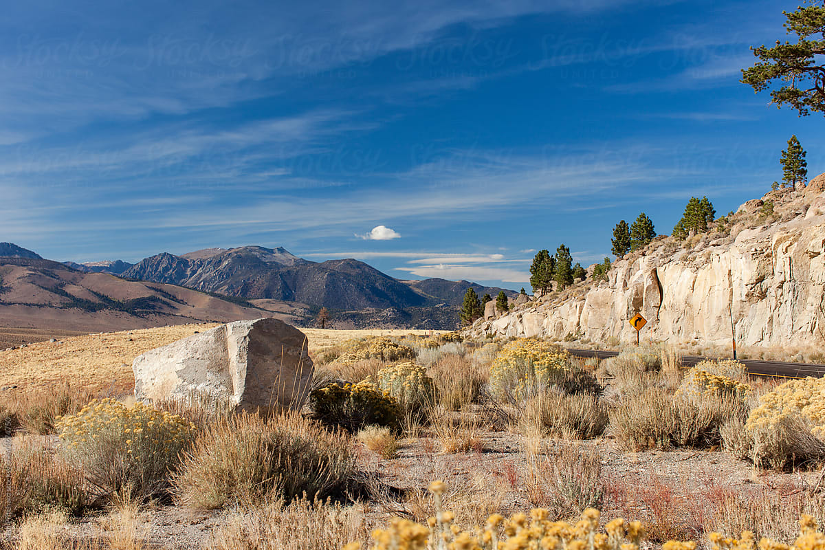 Sierra Nevada High Desert Country