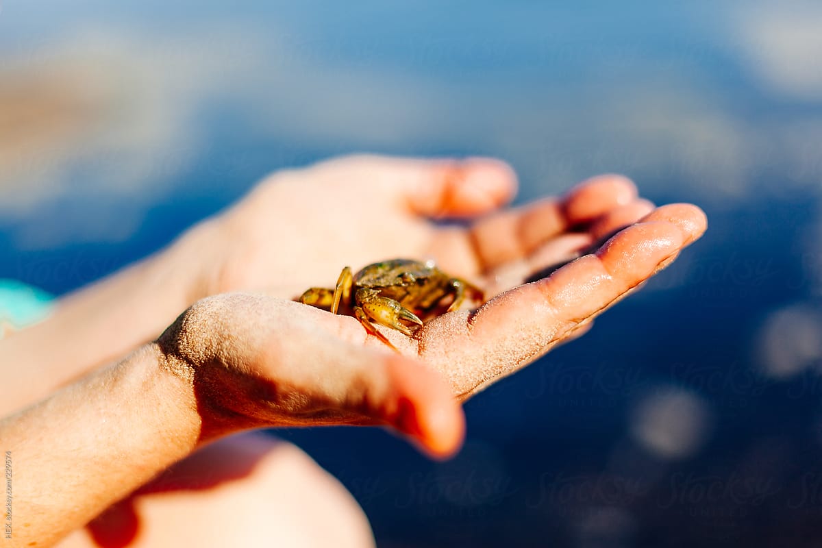 Woman Holding a Crab in her Hands